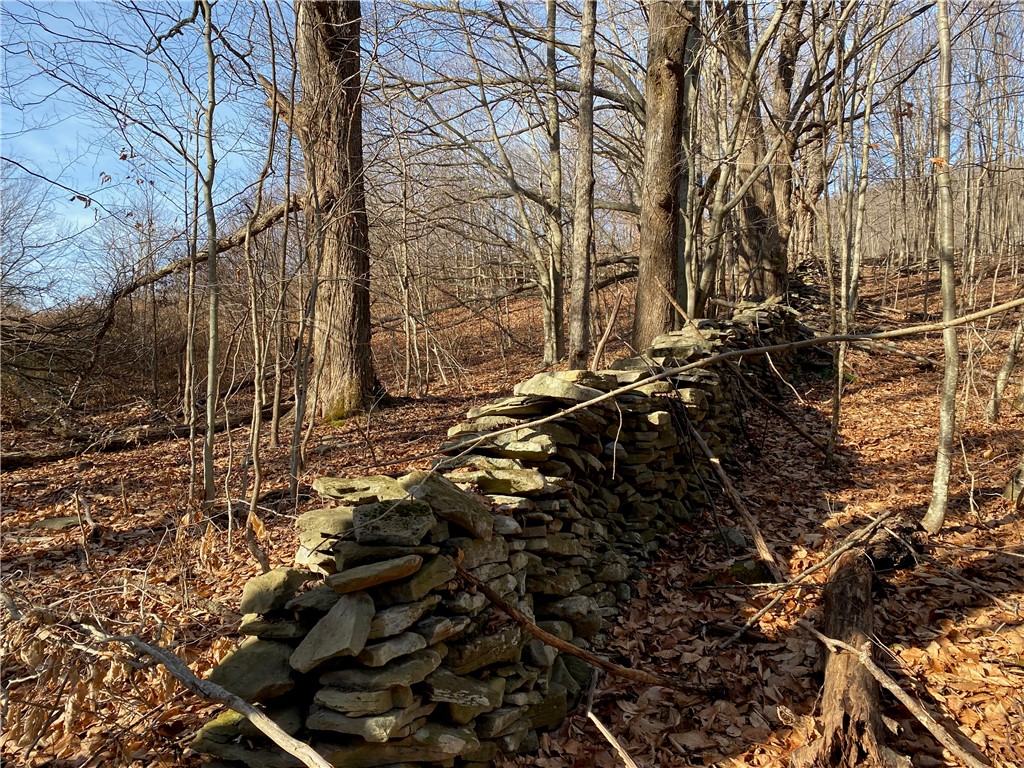 611 Faulkner Road Tompkins, NY 13856 - Photo 9 of 50 Gallery Image 9