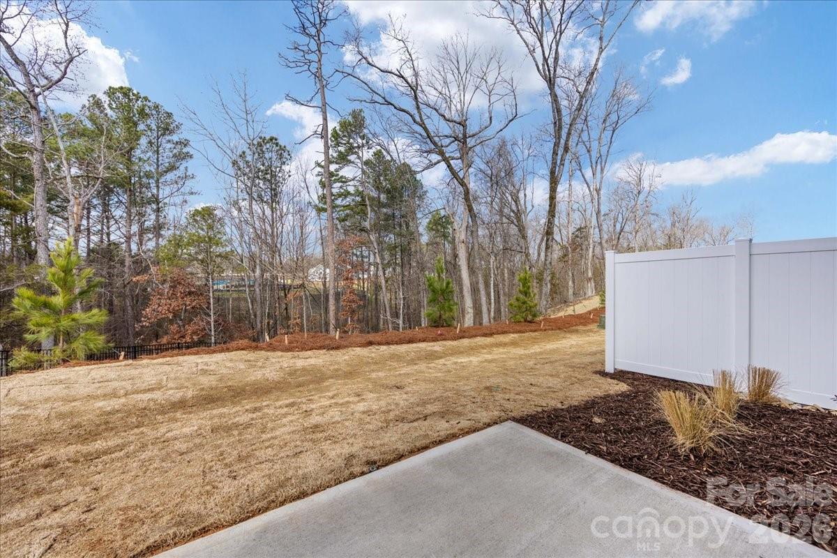 197 Landy Street Fort Mill, SC 29715 - Photo 30 of 30