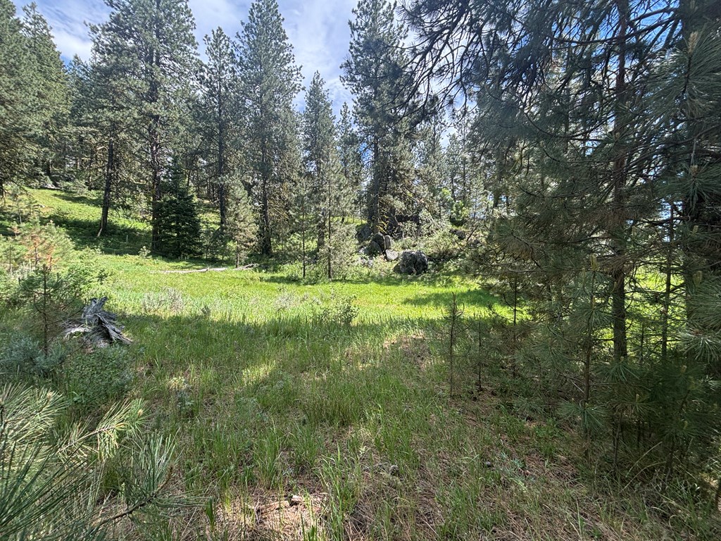 L16-b1 Lantern Way, Unit 16 Cascade, ID 83611 - Photo 8 of 39 Meadow