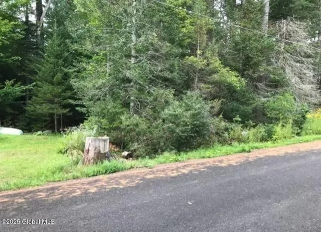 $10,000 | L20.5 Alderwood Park Road, Gloversville, NY 12078