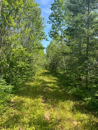 $149,000 | 1961 Town Road, Birchdale, MN 56623