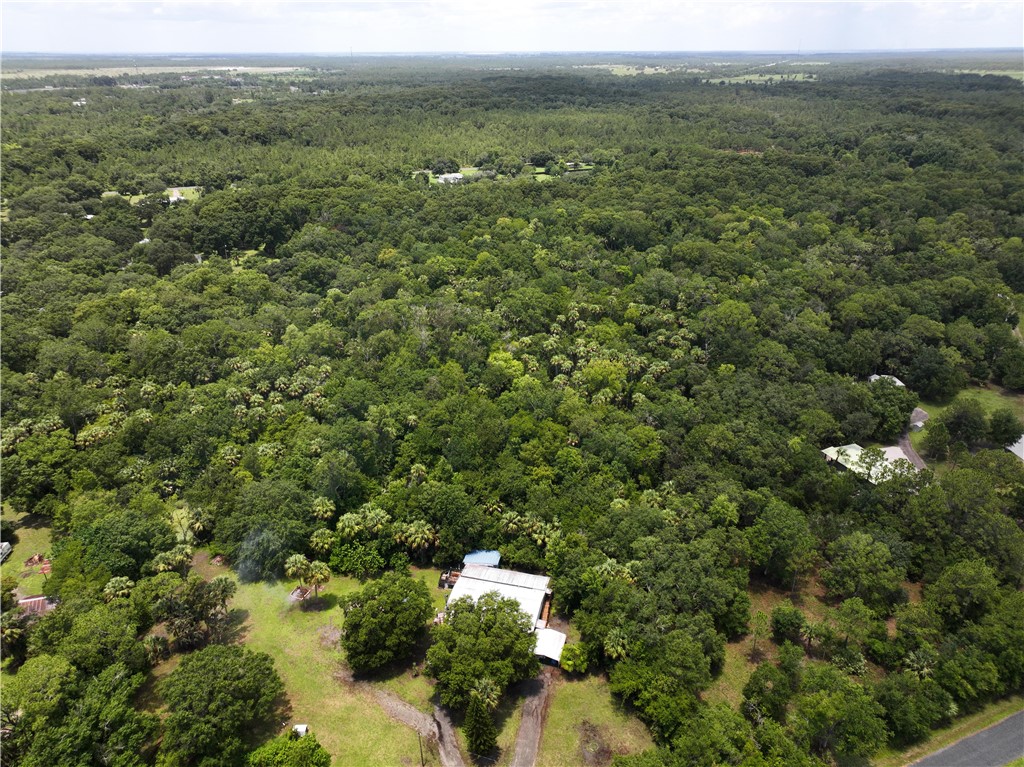 5660 Cypress Drive Yeehaw Junction, FL 34972 - Photo 36 of 36 a view of a forest with a street