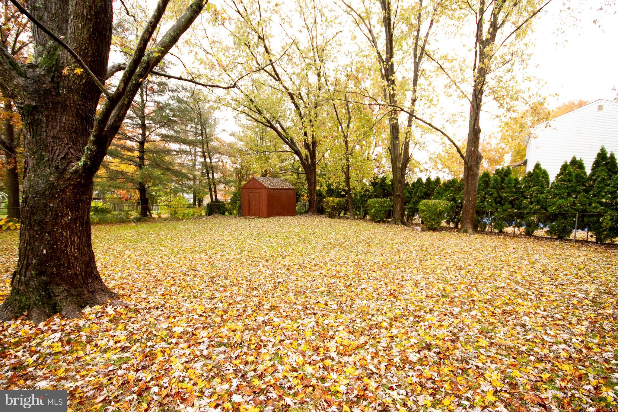 4213 Haycoke Road Baltimore, MD 21236 - Photo 28 of 30 LARGE FENCED LEVEL BACKYARD TREE'S GIVING PRIVACY