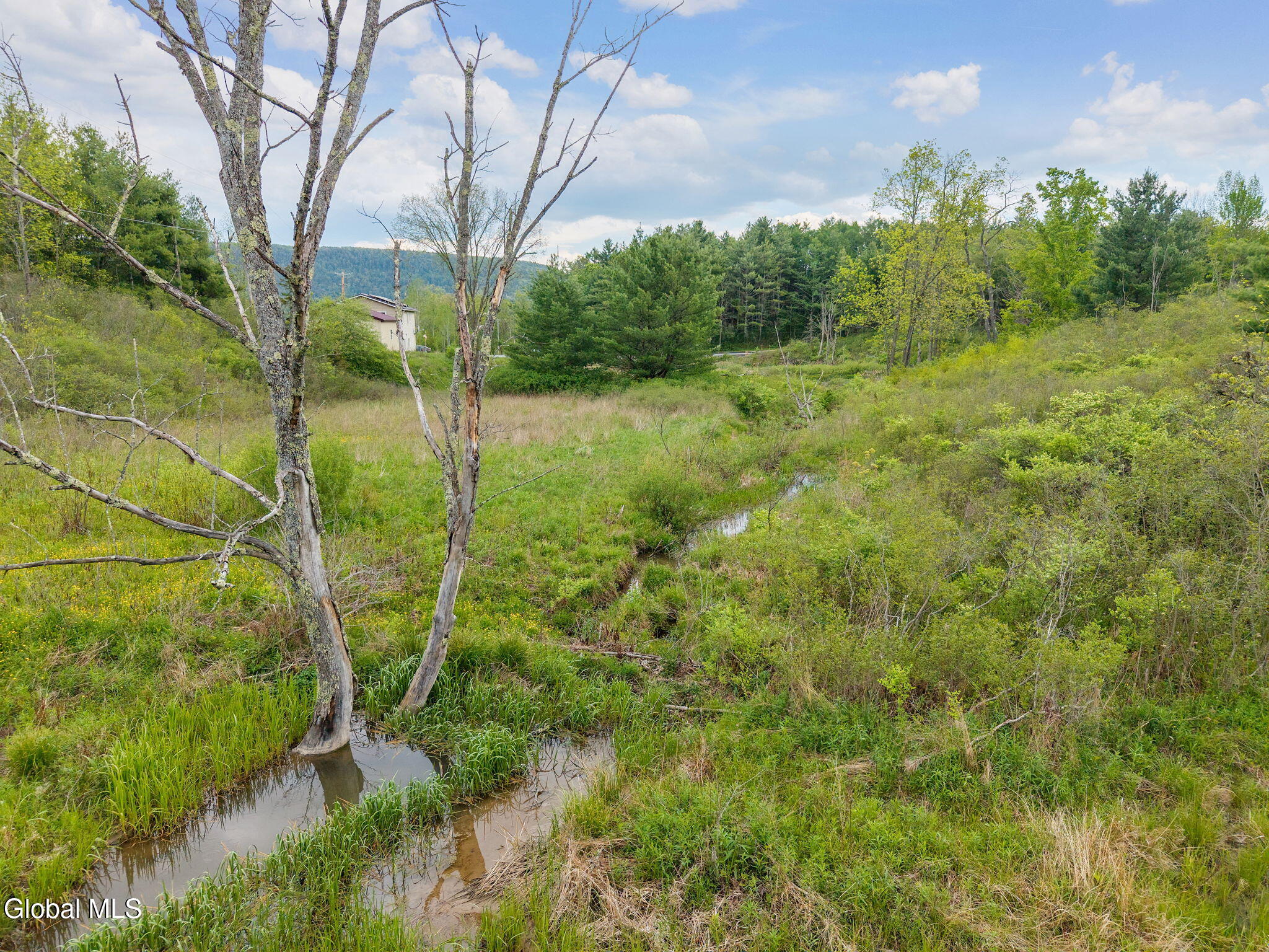 1432 Shew Hollow Road Gilboa, NY 12076 - Photo 43 of 55 48-1432ShewHollowRd_48
