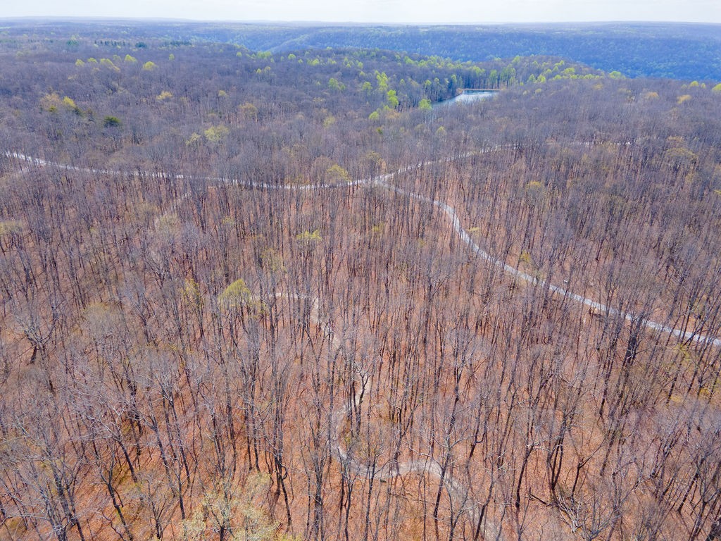 0 Valley View Drive Altamont, TN 37301 - Photo 11 of 38 a view of a dry field with trees in the background