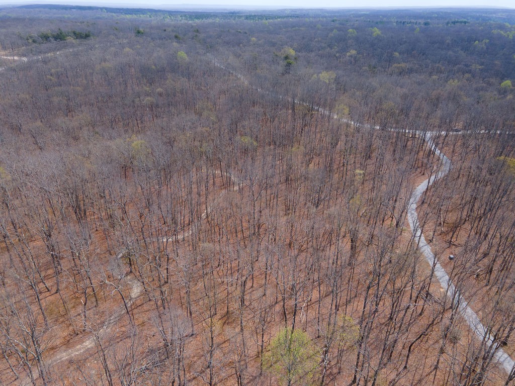 0 Valley View Drive Altamont, TN 37301 - Photo 14 of 38 a view of a dry yard