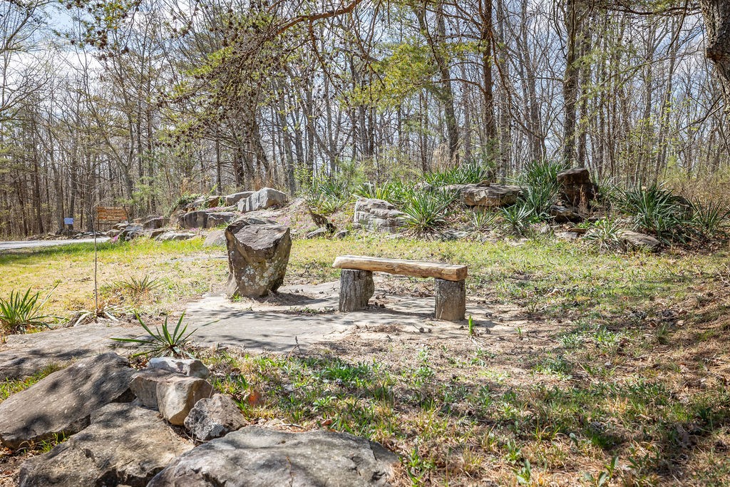 0 Valley View Drive Altamont, TN 37301 - Photo 17 of 38 a view of a backyard with fountain plants and large trees