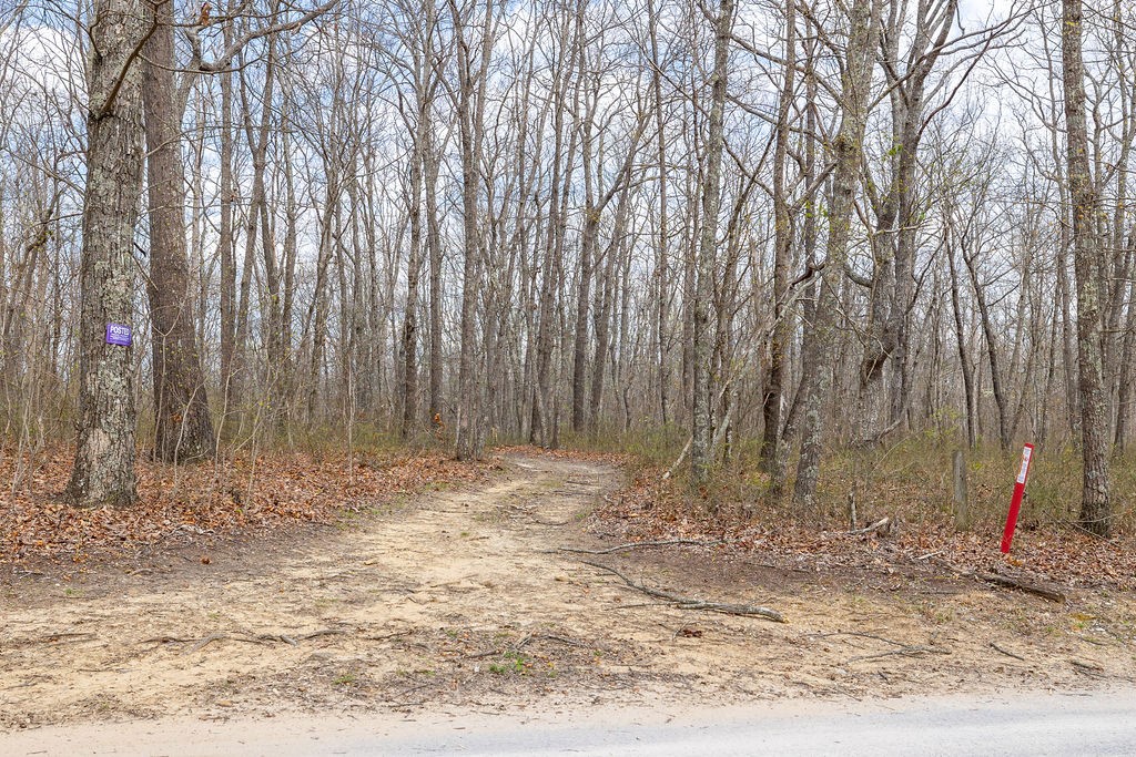 0 Valley View Drive Altamont, TN 37301 - Photo 20 of 38 a view of backyard space