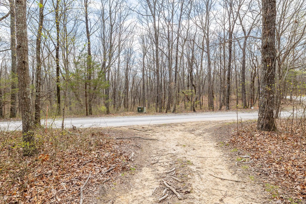 0 Valley View Drive Altamont, TN 37301 - Photo 21 of 38 a view of large yard with trees