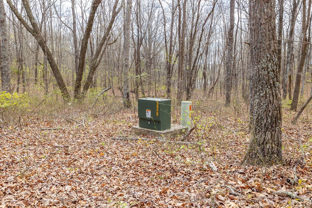 0 Valley View Drive Altamont, TN 37301 - Photo 22 of 38 a backyard of a house with a bench and large trees