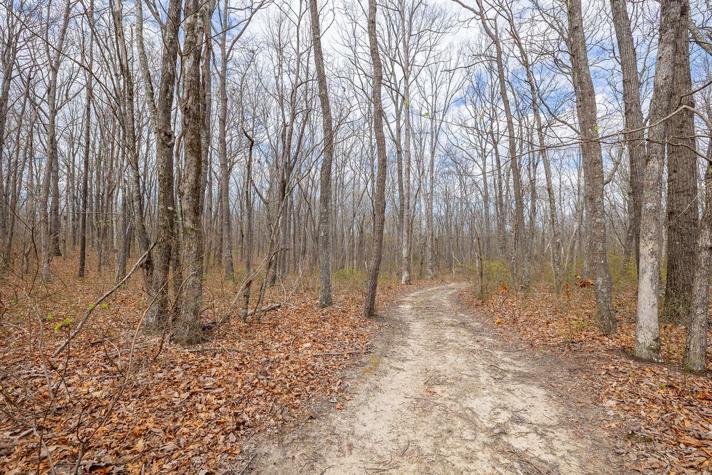 0 Valley View Drive Altamont, TN 37301 - Photo 23 of 38 a view of shower and trees