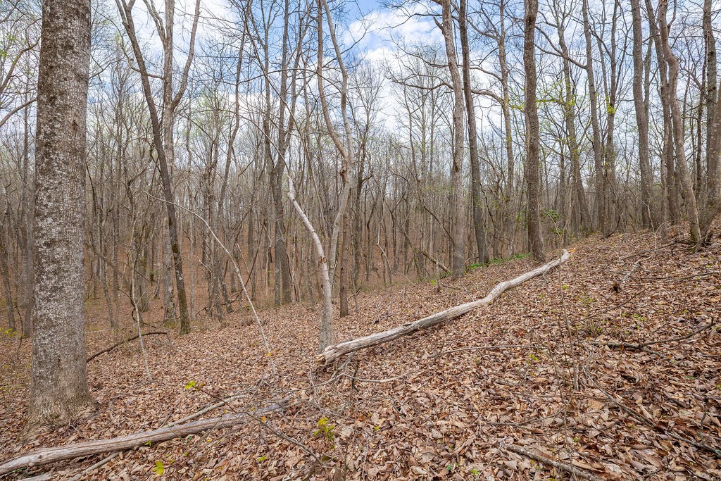 0 Valley View Drive Altamont, TN 37301 - Photo 24 of 38 a view of a backyard of the house