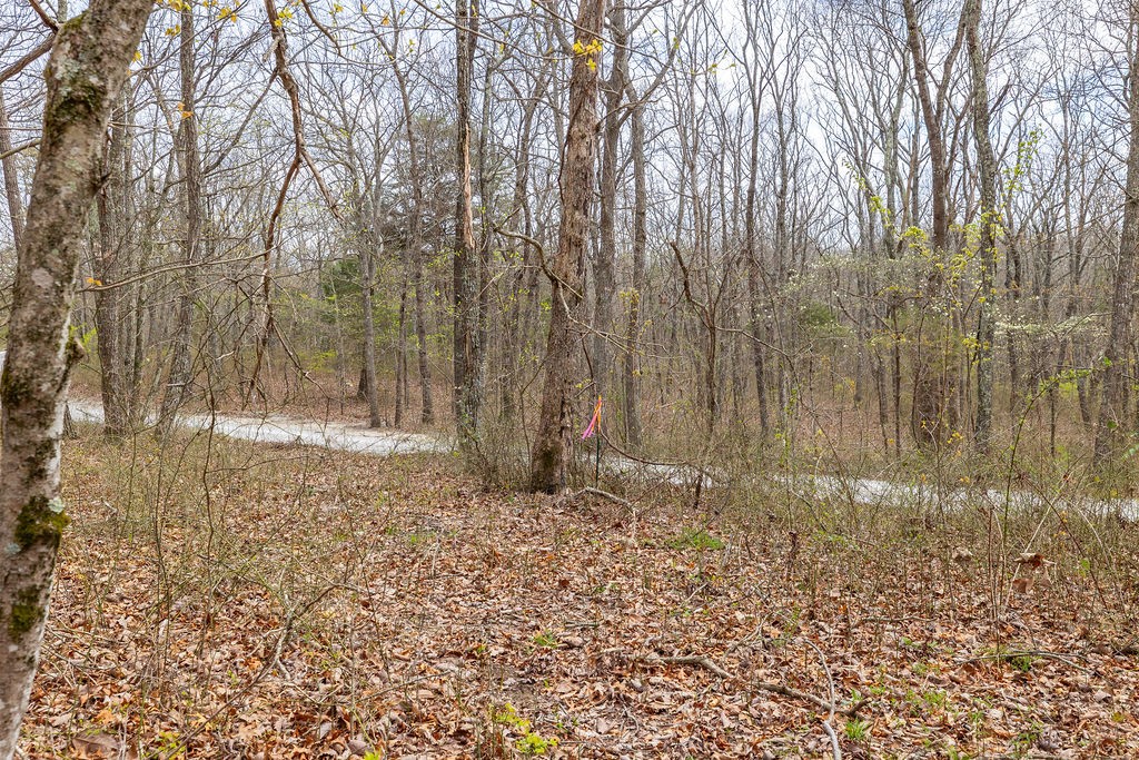 0 Valley View Drive Altamont, TN 37301 - Photo 26 of 38 a view of a yard with trees