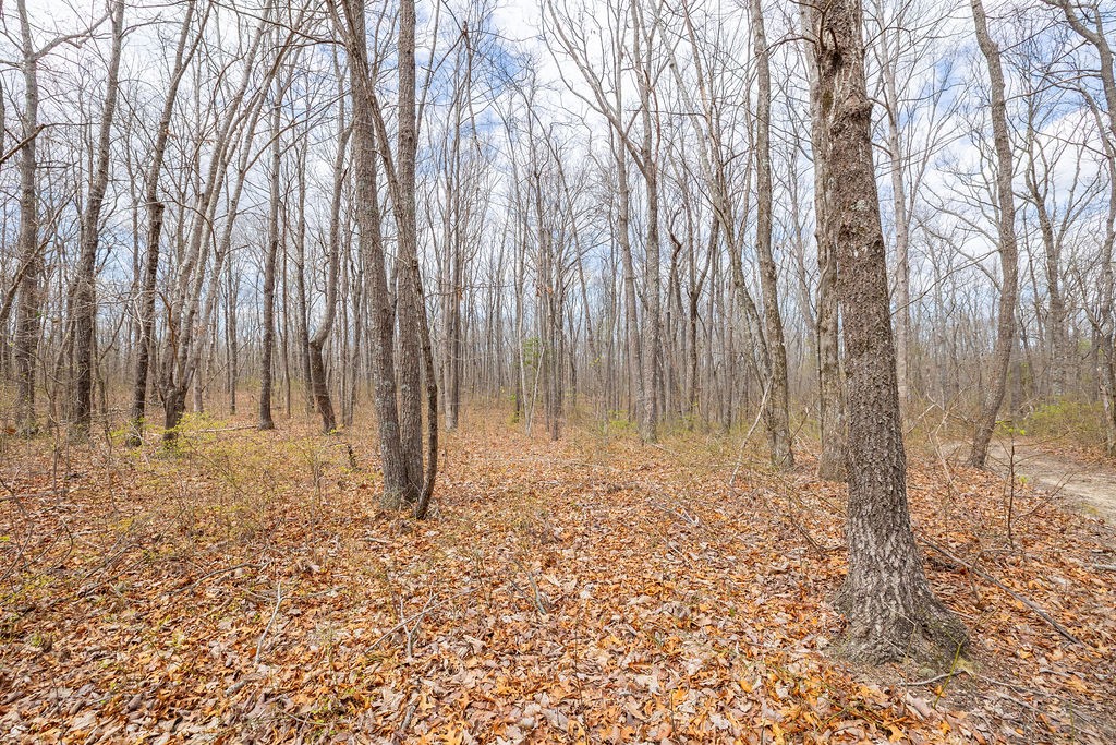 0 Valley View Drive Altamont, TN 37301 - Photo 27 of 38 a view of room with trees and wooden fence