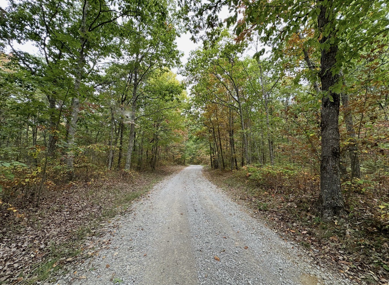 0 Valley View Drive Altamont, TN 37301 - Photo 37 of 38 a view of a forest with trees