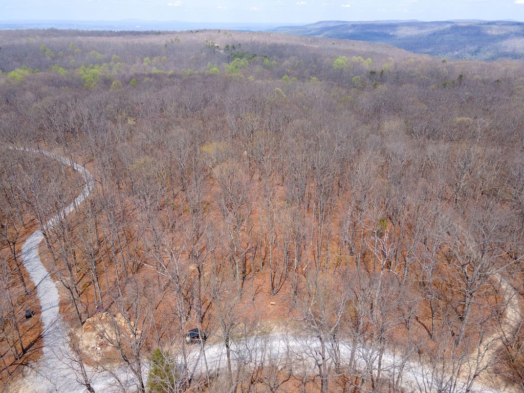 0 Valley View Drive Altamont, TN 37301 - Photo 6 of 38 a view of a dry field with trees in the background