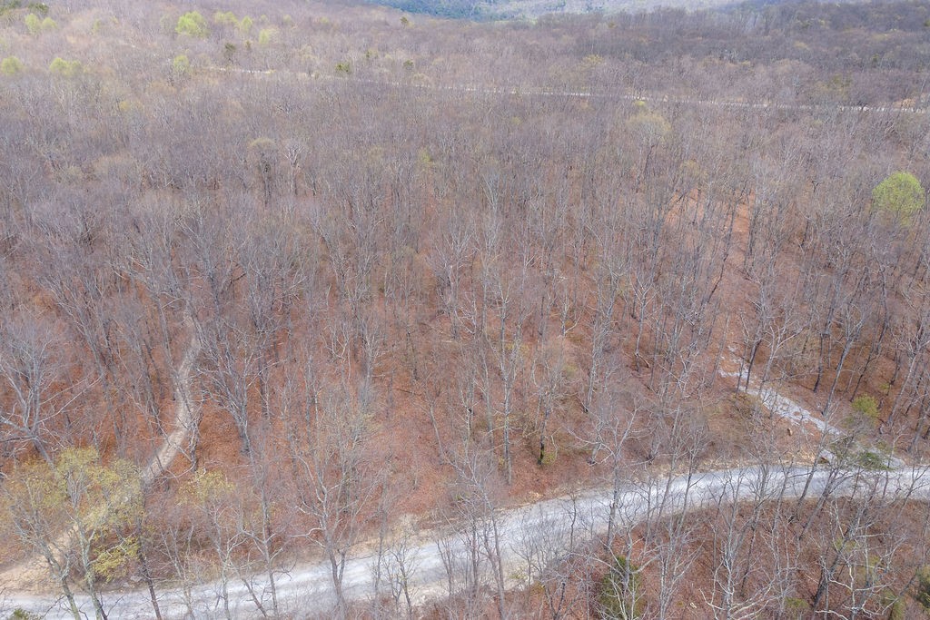 0 Valley View Drive Altamont, TN 37301 - Photo 8 of 38 a view of a dry yard