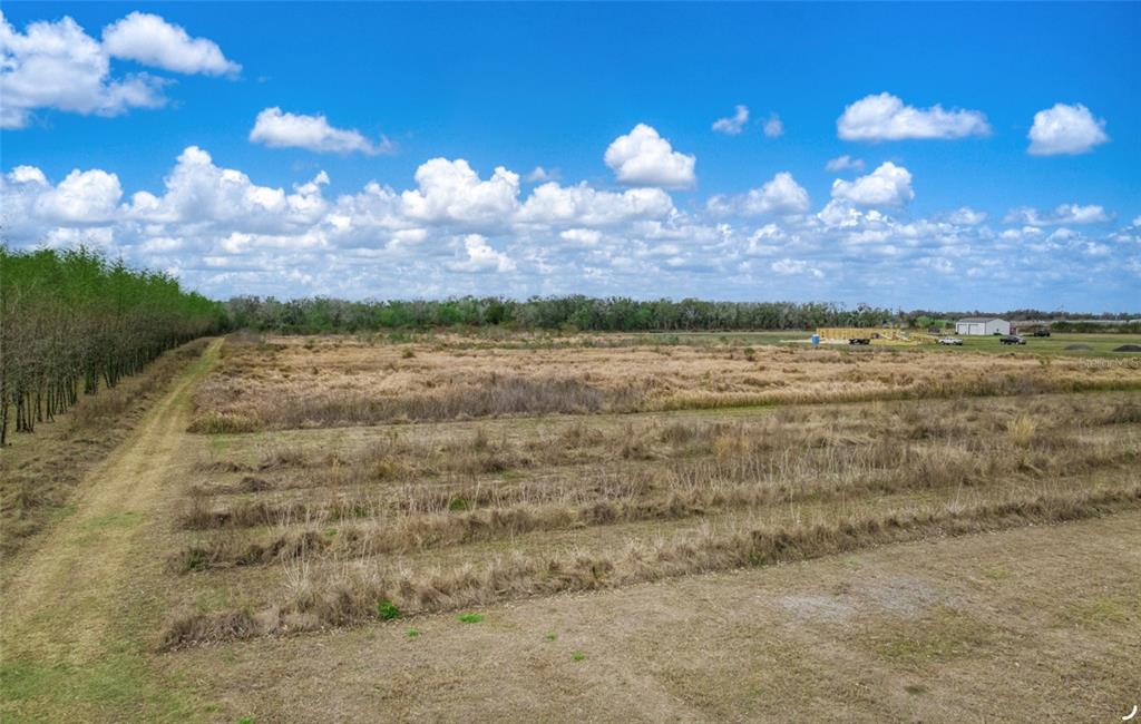 2365 Polk Road Wauchula, FL 33873 - Photo 14 of 16