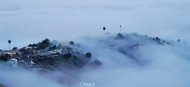 a view of a patio with couches chairs and a potted plant on the side of a city