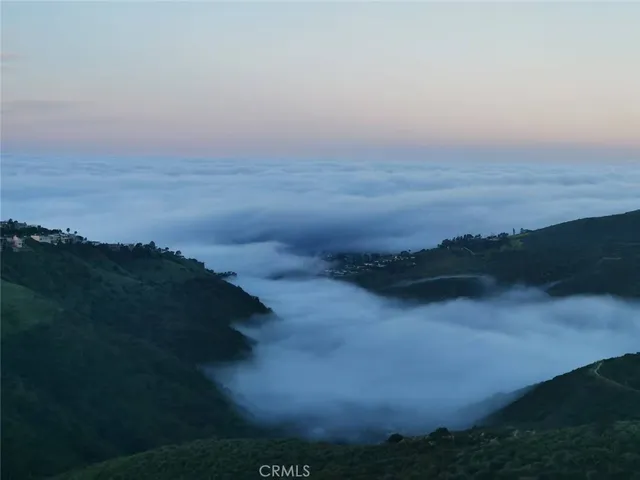 a view of a bunch of trees and a yard