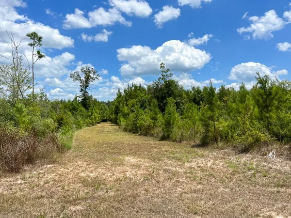 a view of a lake with houses in the background