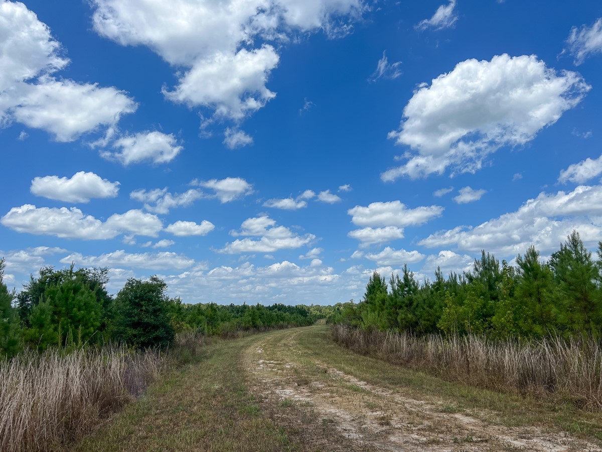 0 Us 69 Warren, TX 77664 - Photo 13 of 14 a view of a lake from a yard