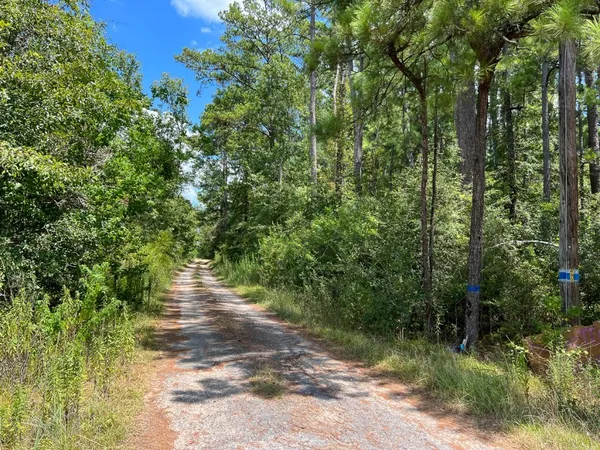 a view of a street with a trees