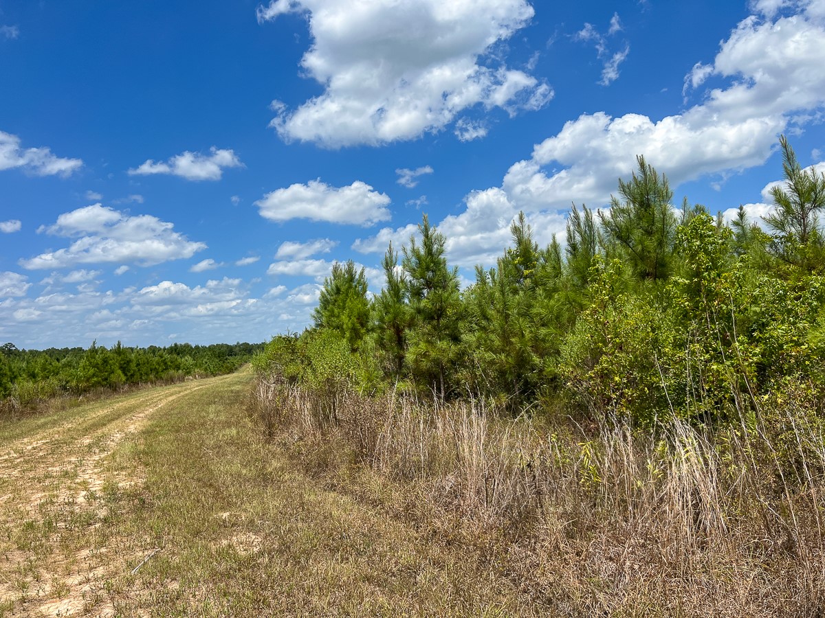 0 Us 69 Warren, TX 77664 - Photo 8 of 14 a view of a lake