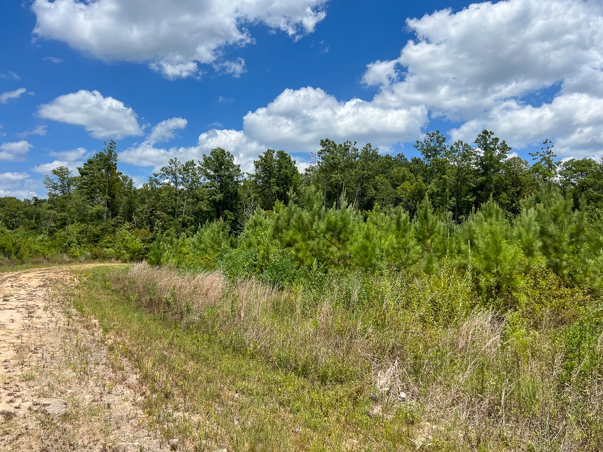 0 Us 69 Warren, TX 77664 - Photo 9 of 14 a view of a lake from a yard