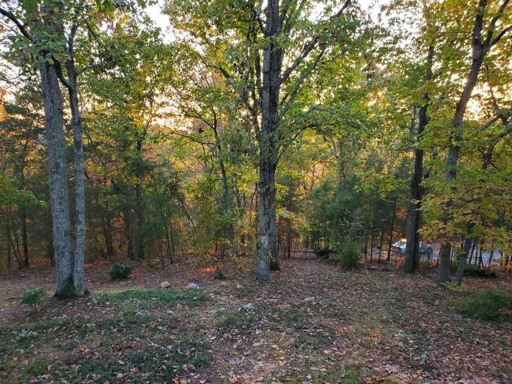 1913 Ridge Point Drive Northwest Cleveland, TN 37311 - Photo 10 of 54 Gallery Image 10