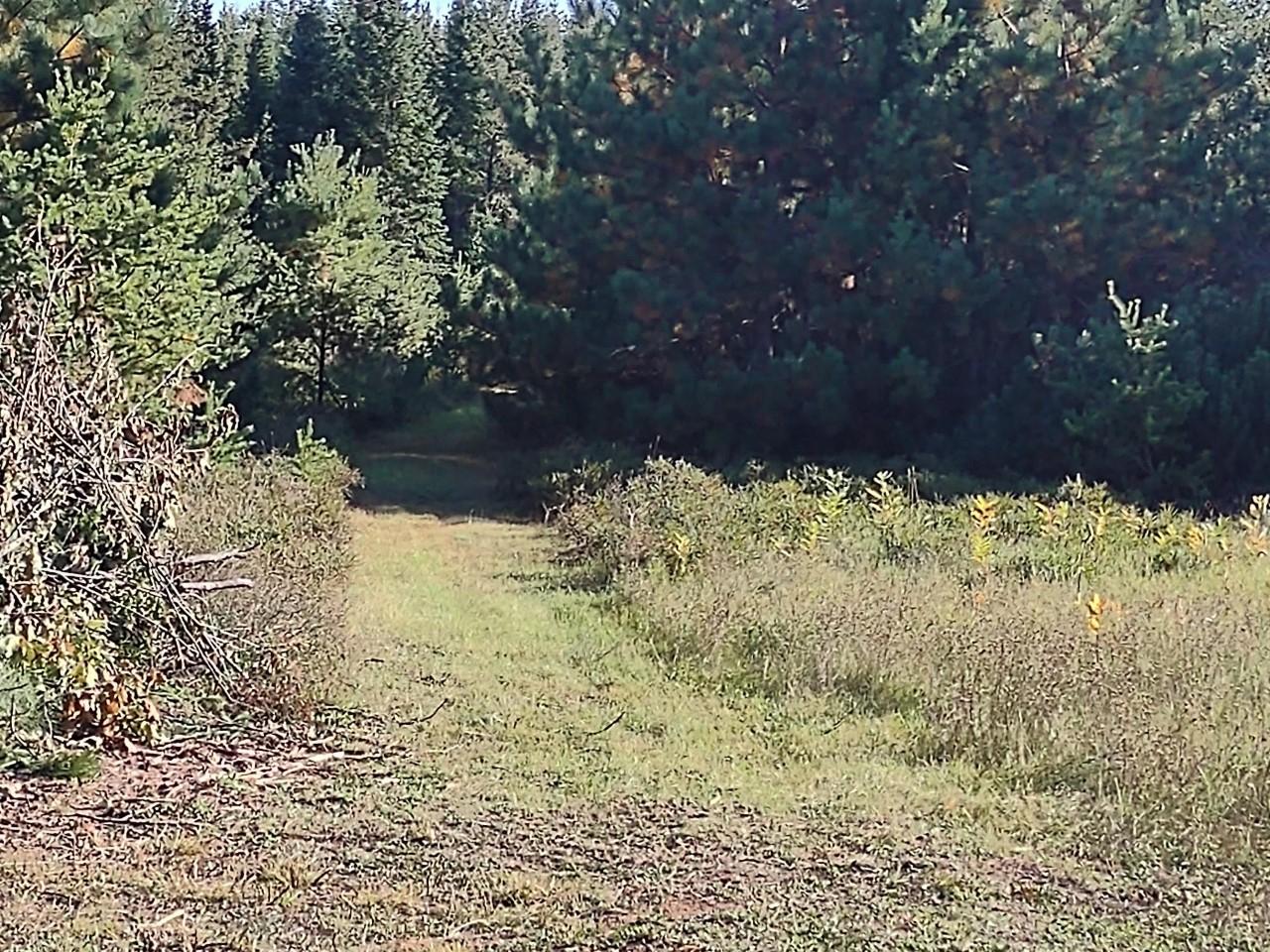 On Limber Lost Road Rhinelander, WI 54501 - Photo 8 of 13 Gallery Image 8