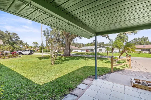 a view of yard with tree s