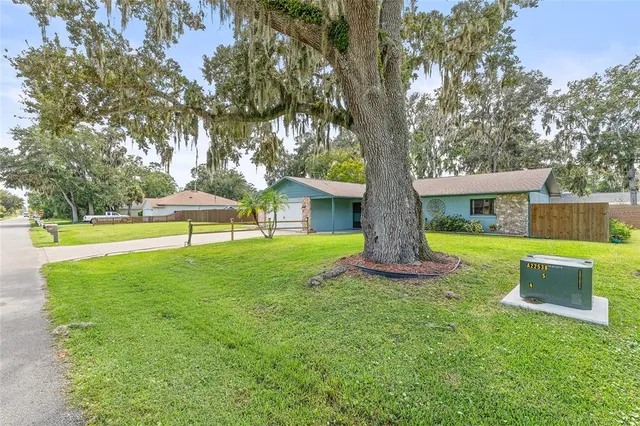 a view of a house with backyard and a tree