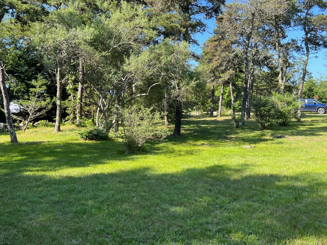 2 Farmers Road Edgartown, MA 02539 - Photo 11 of 27 a view of swimming pool and trees in the background