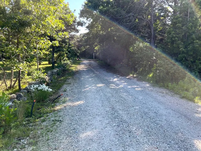 a view of a yard with plants and trees