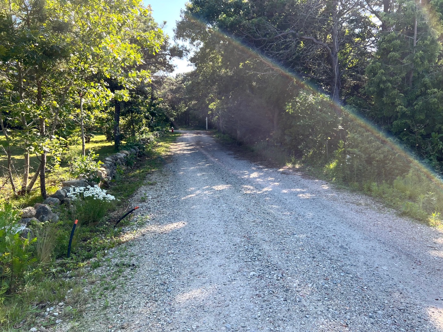 2 Farmers Road Edgartown, MA 02539 - Photo 12 of 27 a view of a yard with plants and trees