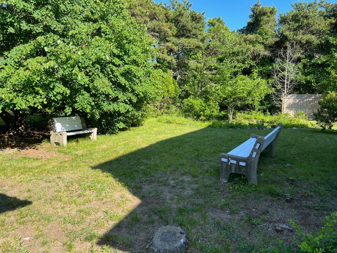 2 Farmers Road Edgartown, MA 02539 - Photo 7 of 27 a view of a backyard with table and chairs potted plants and large tree
