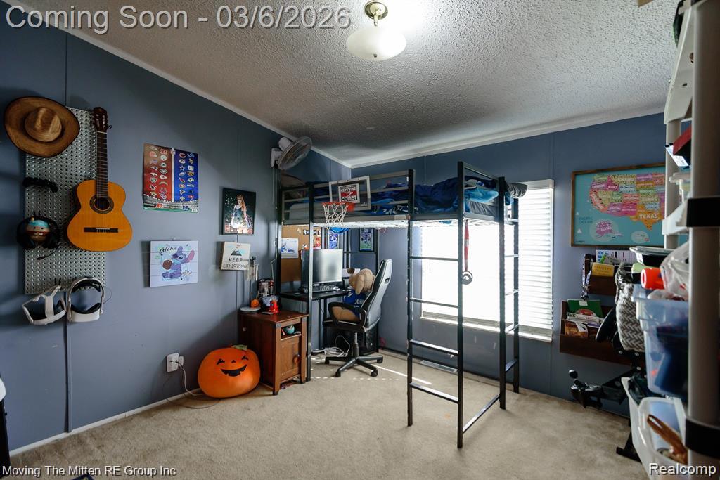 18555 Elwell Road Belleville, MI 48111 - Photo 23 of 43 Gallery Image 23