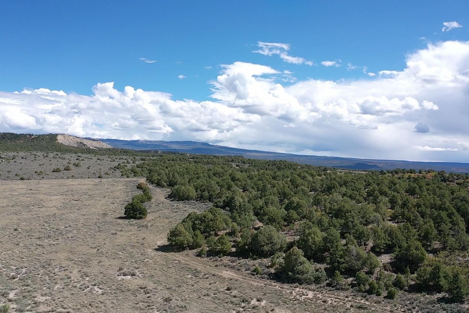 South And Ranch West Cebolla, NM 87518 - Photo 34 of 42 Gallery Image 34