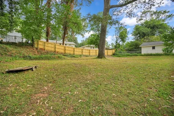 a view of a field with a tree