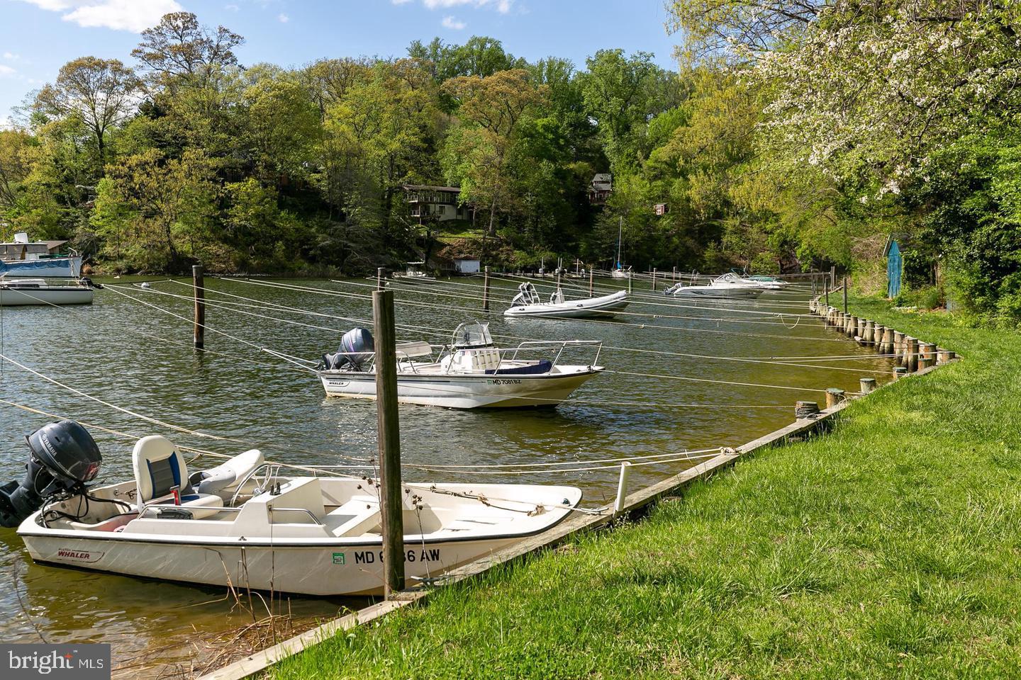 1438 Ridgeway East Arnold, MD 21012 - Photo 43 of 50 a view of a lake with boats and trees in the background