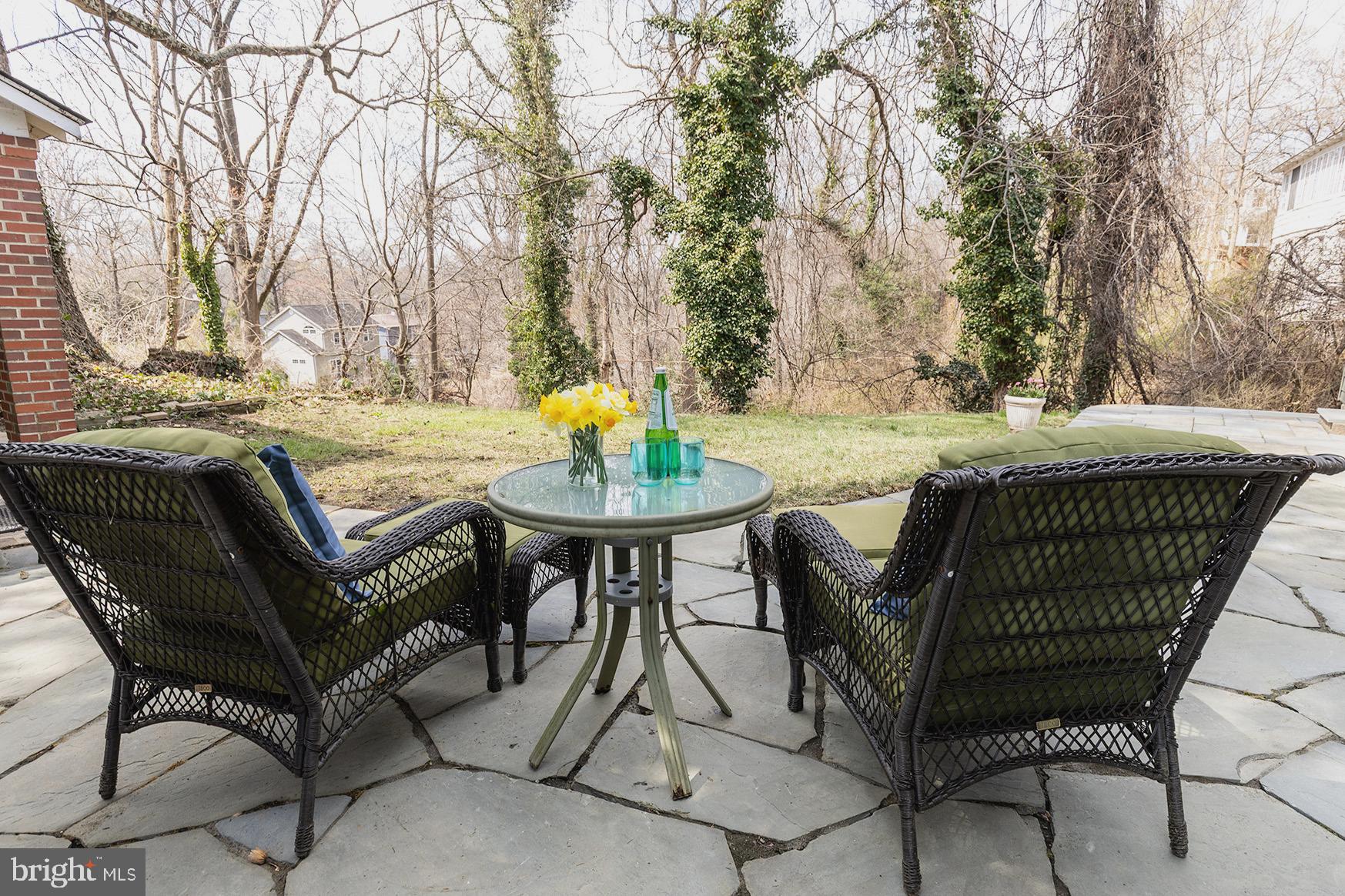 1438 Ridgeway East Arnold, MD 21012 - Photo 9 of 29 Rear patio overlooking the ravine