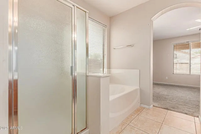 a bathroom with a bathtub and a shower