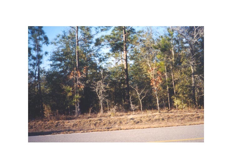 2-ac Dads Road Baker, FL 32531 - Photo 1 of 1 Gallery Image 1