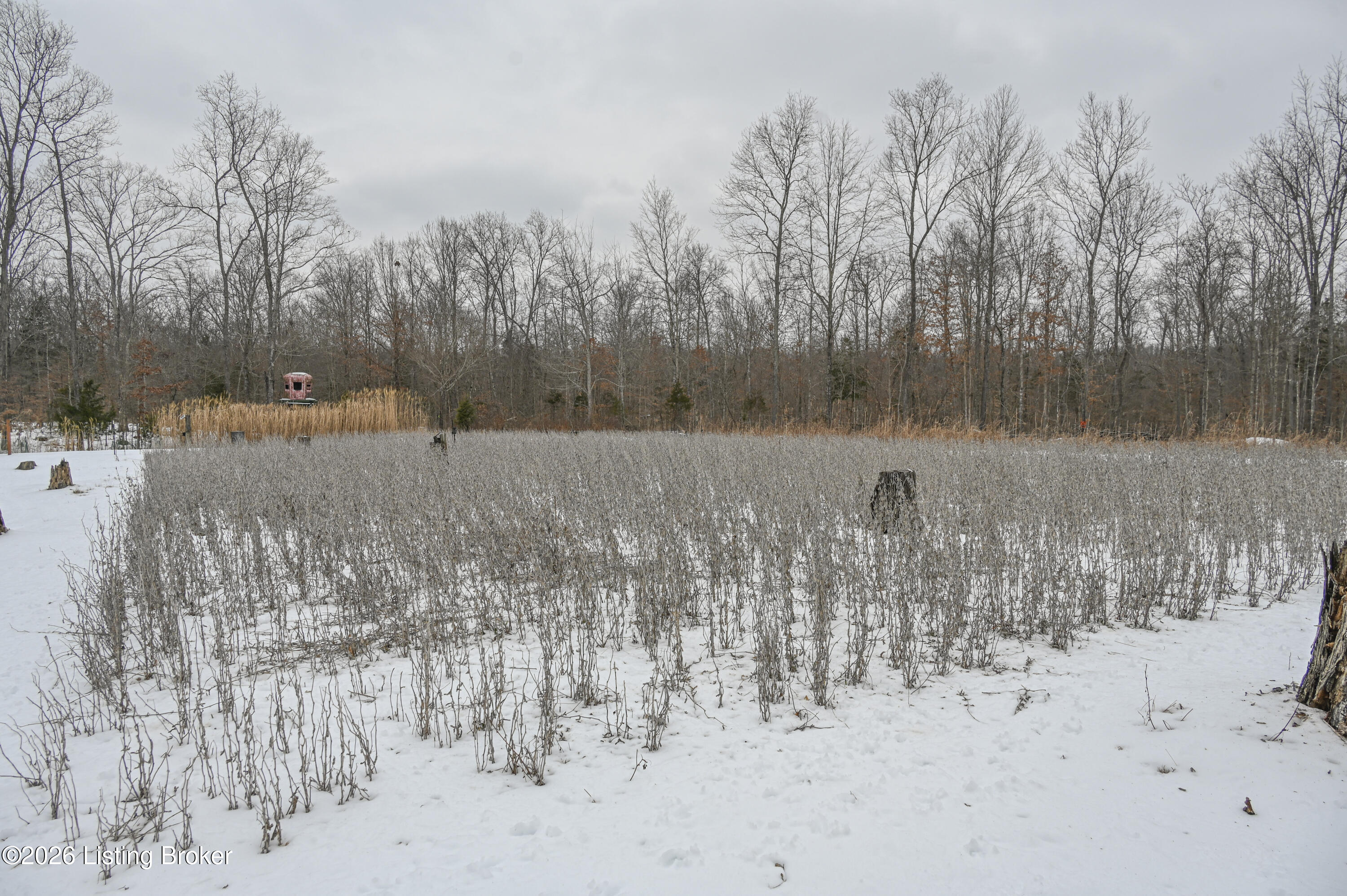 0 Stewart Road Lebanon Junction, KY 40150 - Photo 34 of 106 9-DSC_1542