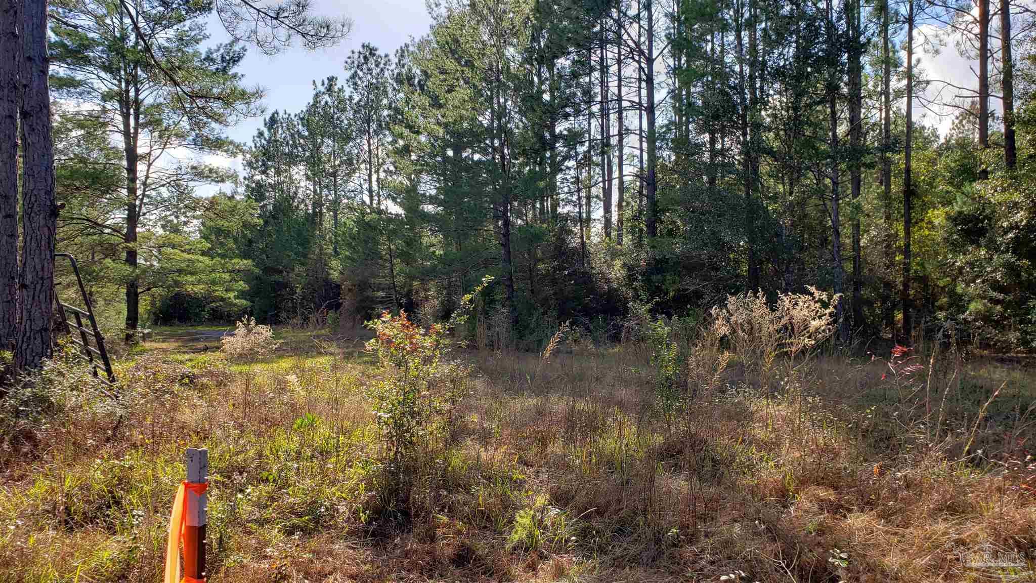 10026 Charlois Road Milton, FL 32583 - Photo 5 of 7 Gallery Image 5
