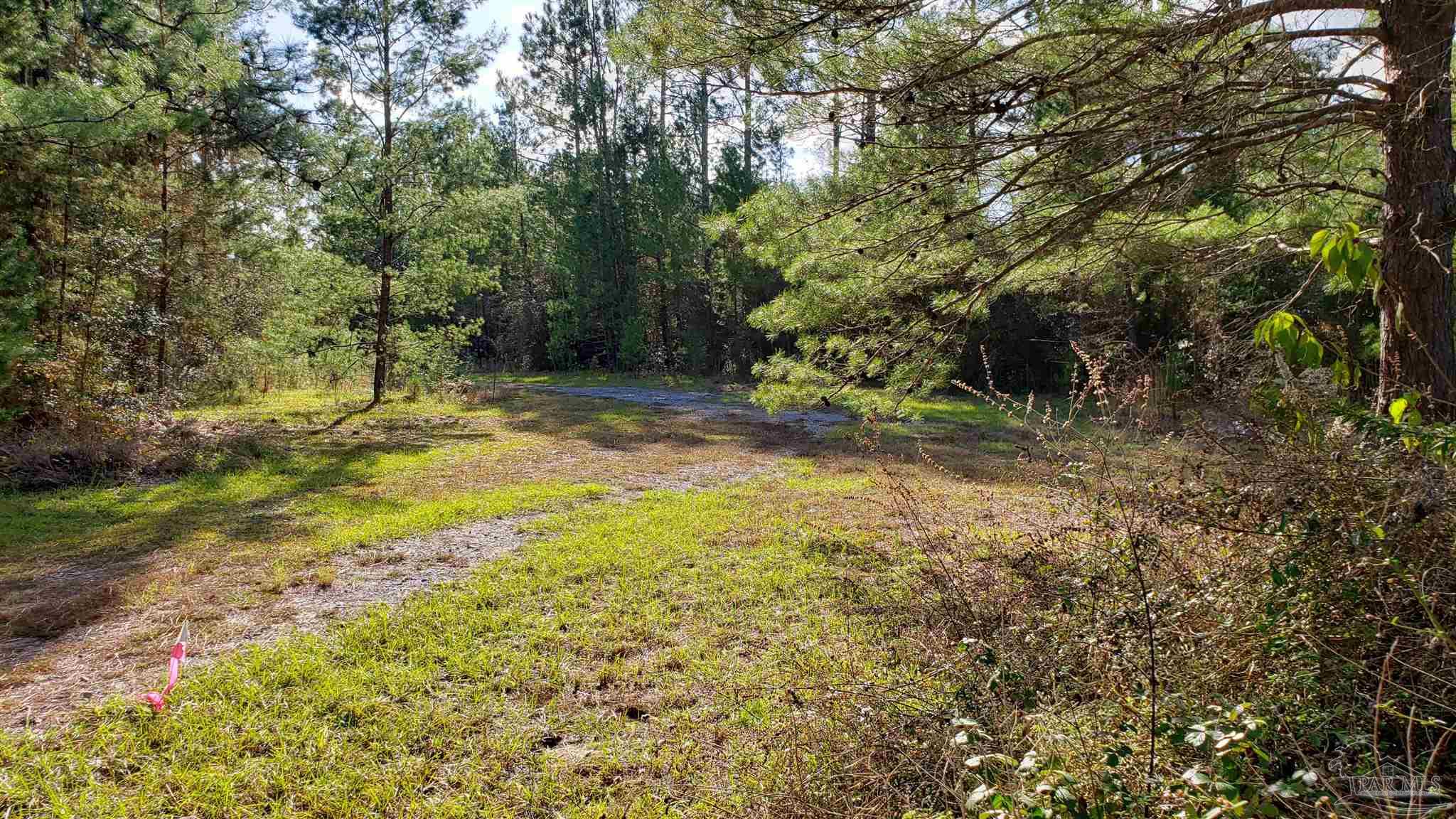 10026 Charlois Road Milton, FL 32583 - Photo 6 of 7 Gallery Image 6