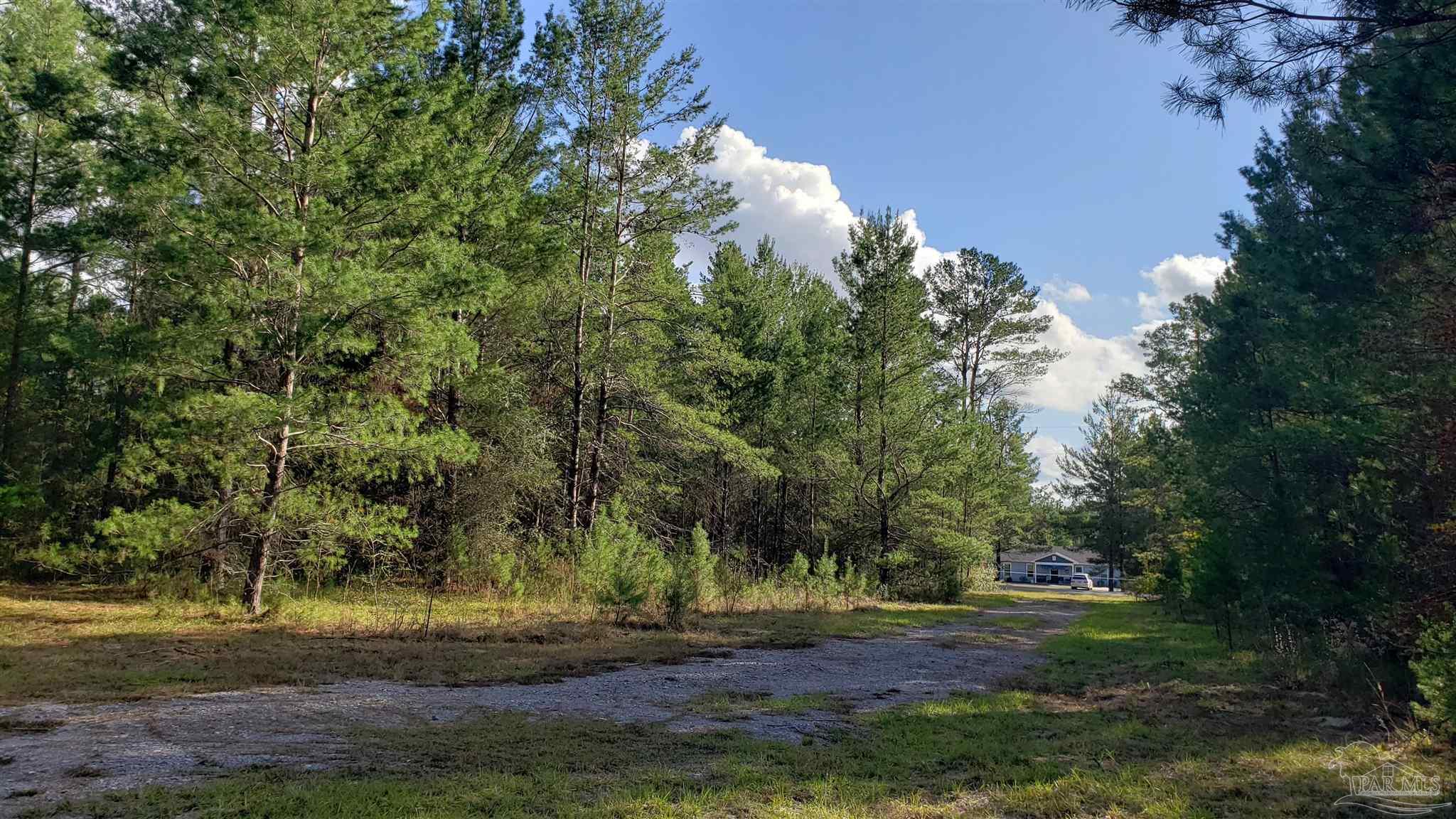 10026 Charlois Road Milton, FL 32583 - Photo 7 of 7 Gallery Image 7