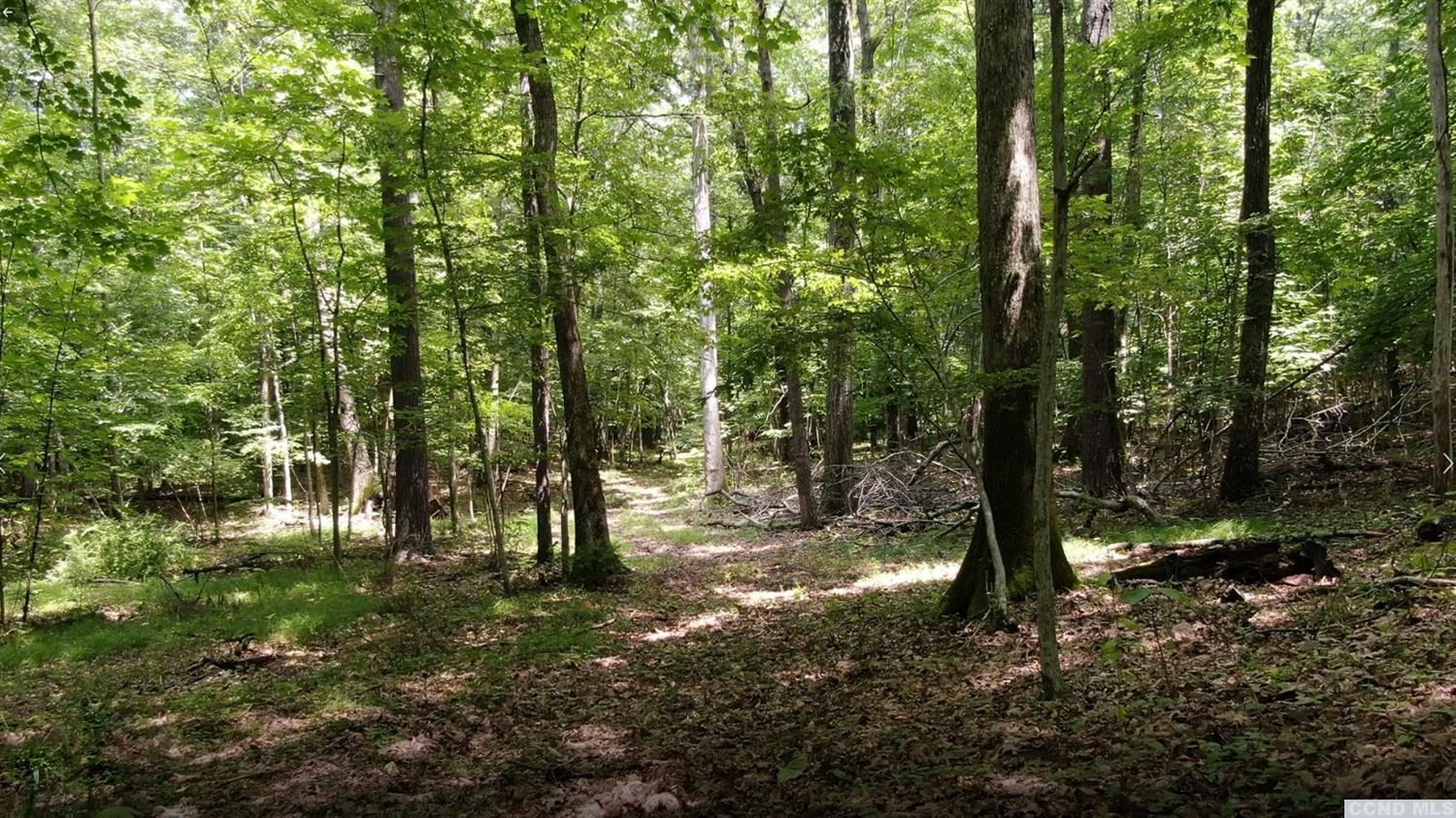 0 Off Indian Ridge Ext Road Leeds, NY 12451 - Photo 17 of 21 a view of a forest with trees