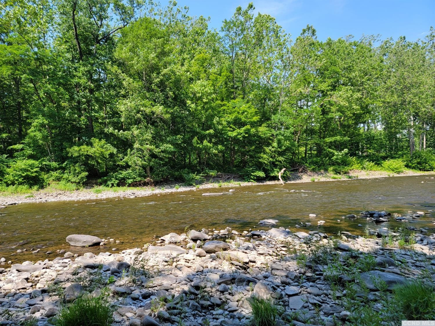 0 Off Indian Ridge Ext Road Leeds, NY 12451 - Photo 4 of 21 a view of a water with large trees